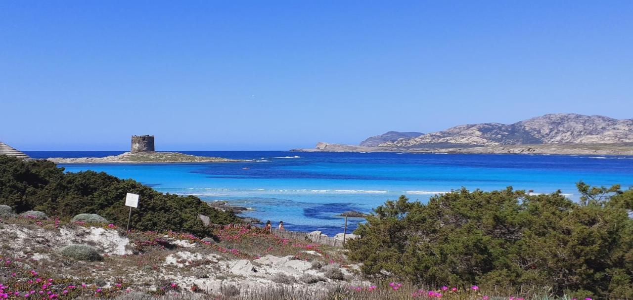 B&B Giomar Sardegna Nord Ovest Campanedda Bagian luar foto